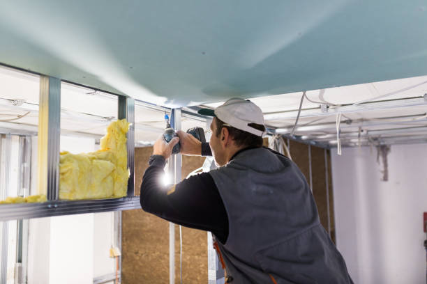 Best Insulation Maintenance and Repair in Nolensville, TN