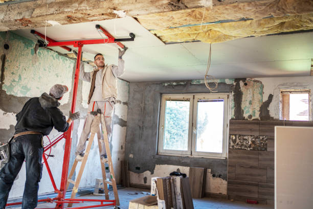 Best Specialized Insulation Services in Nolensville, TN